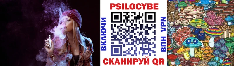 наркотики  Дегтярск  Псилоцибиновые грибы Magic Shrooms 